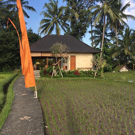 Puri Raya Villa Убуд Екстериор снимка