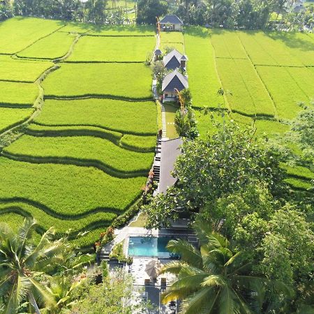 Puri Raya Villa Убуд Екстериор снимка