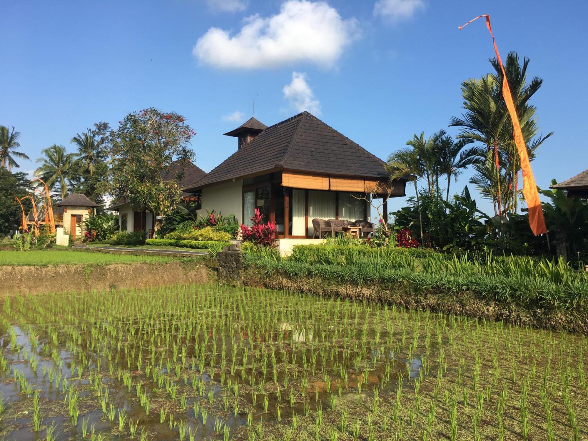 Puri Raya Villa Убуд Екстериор снимка